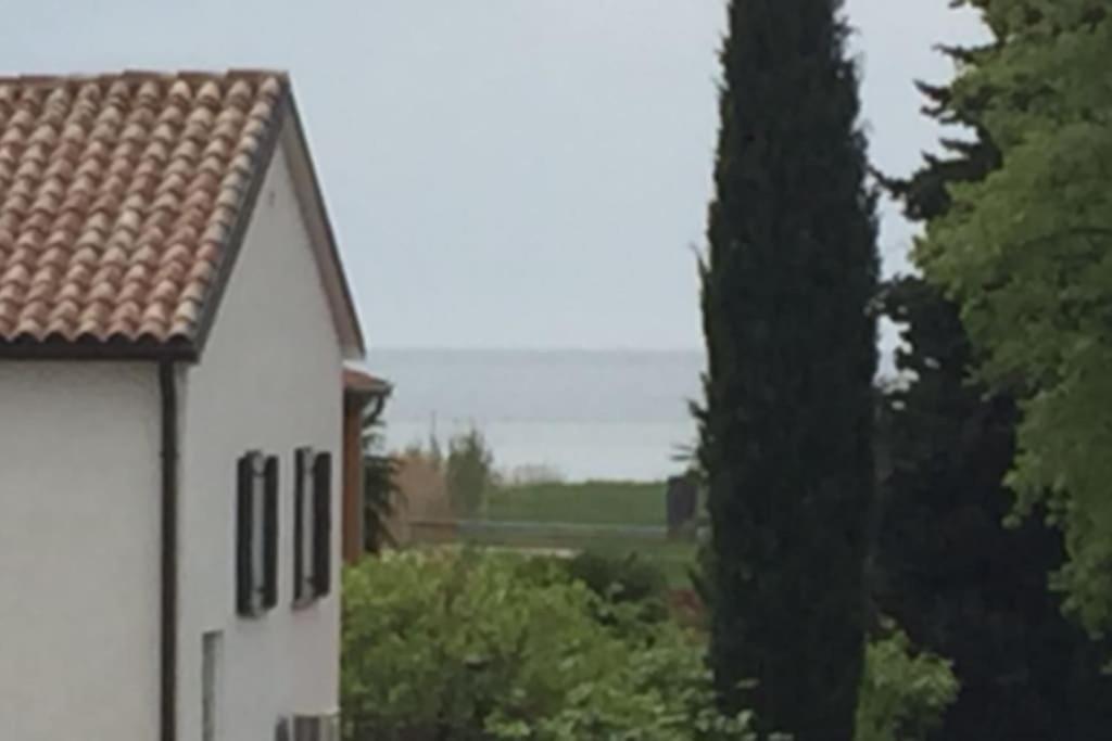Apartment, 200M From Sea Бртонигла Экстерьер фото